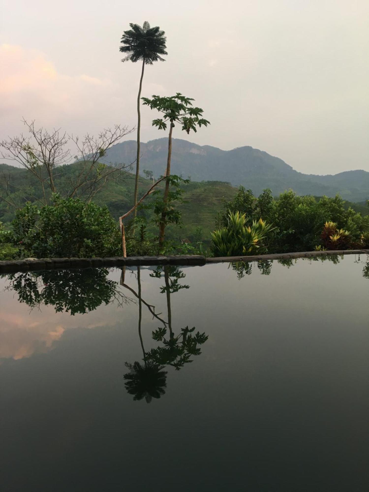 Paradise Eco Garden Kitulgala Εξωτερικό φωτογραφία