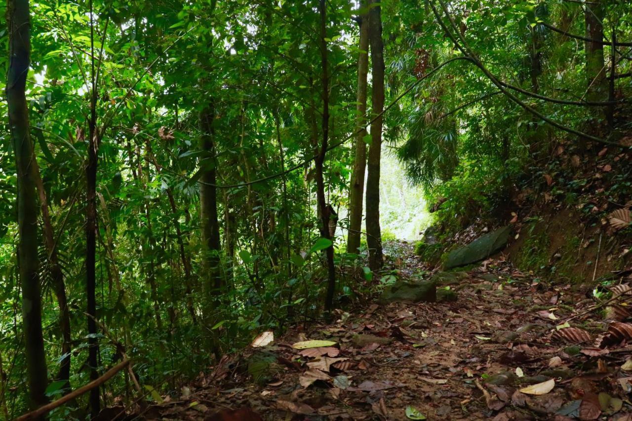 Paradise Eco Garden Kitulgala Εξωτερικό φωτογραφία