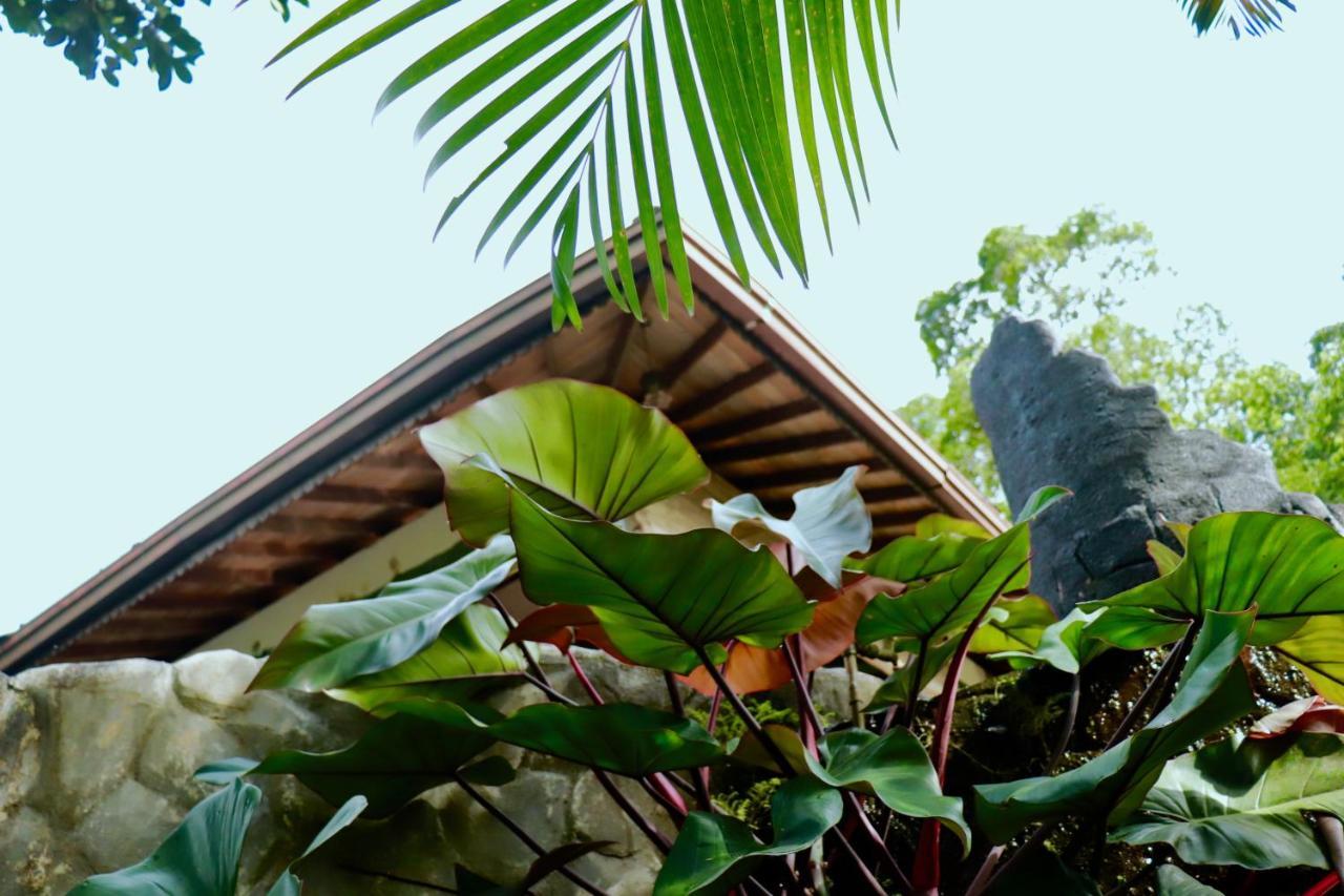 Paradise Eco Garden Kitulgala Εξωτερικό φωτογραφία