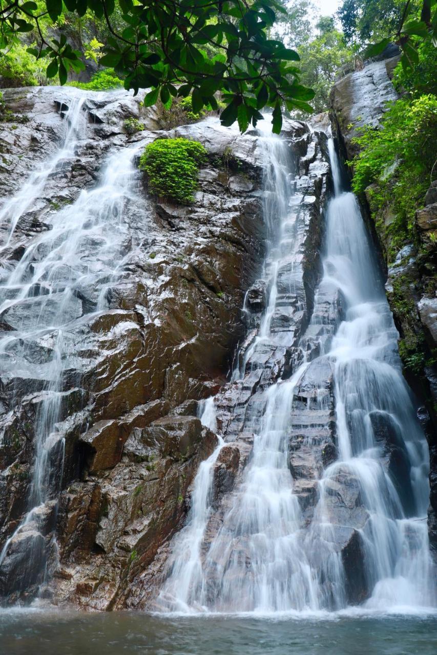 Paradise Eco Garden Kitulgala Εξωτερικό φωτογραφία