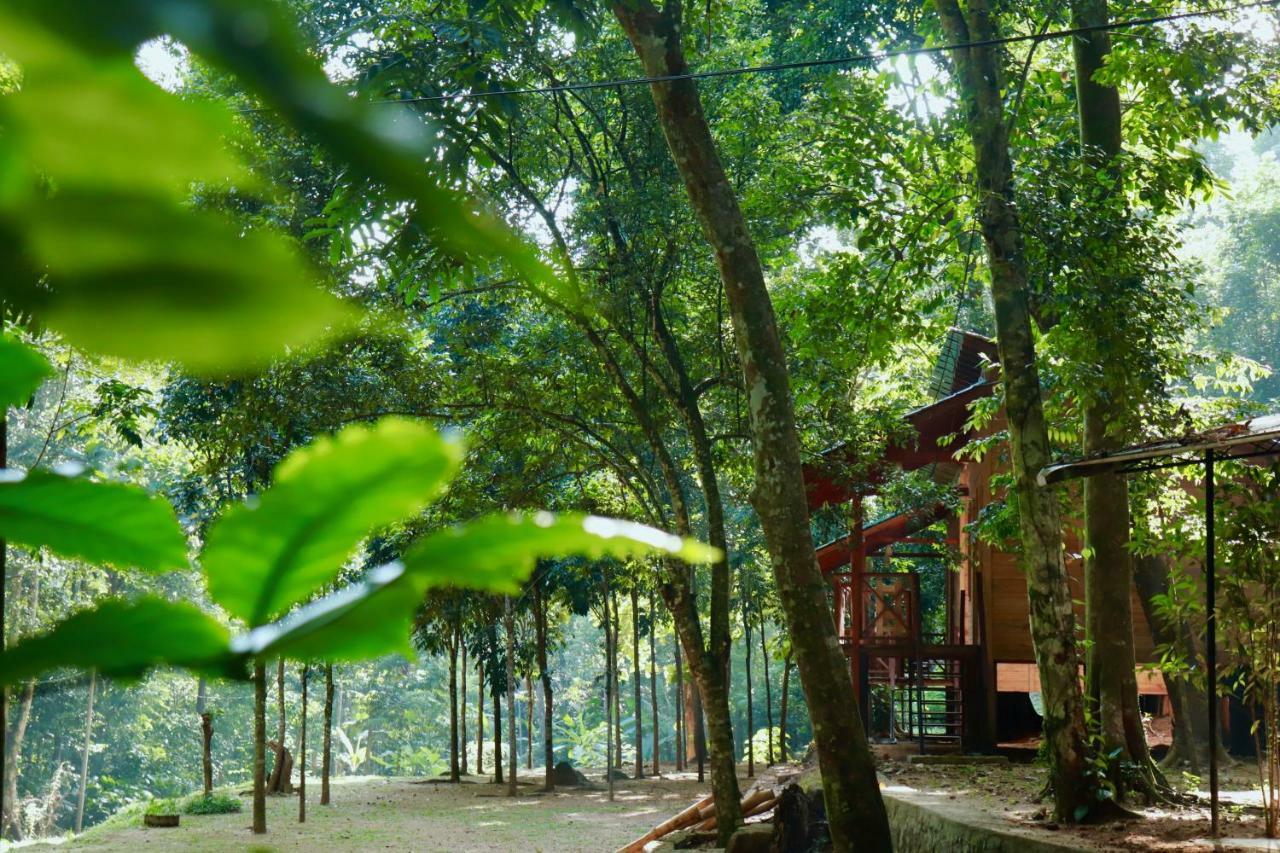 Paradise Eco Garden Kitulgala Εξωτερικό φωτογραφία