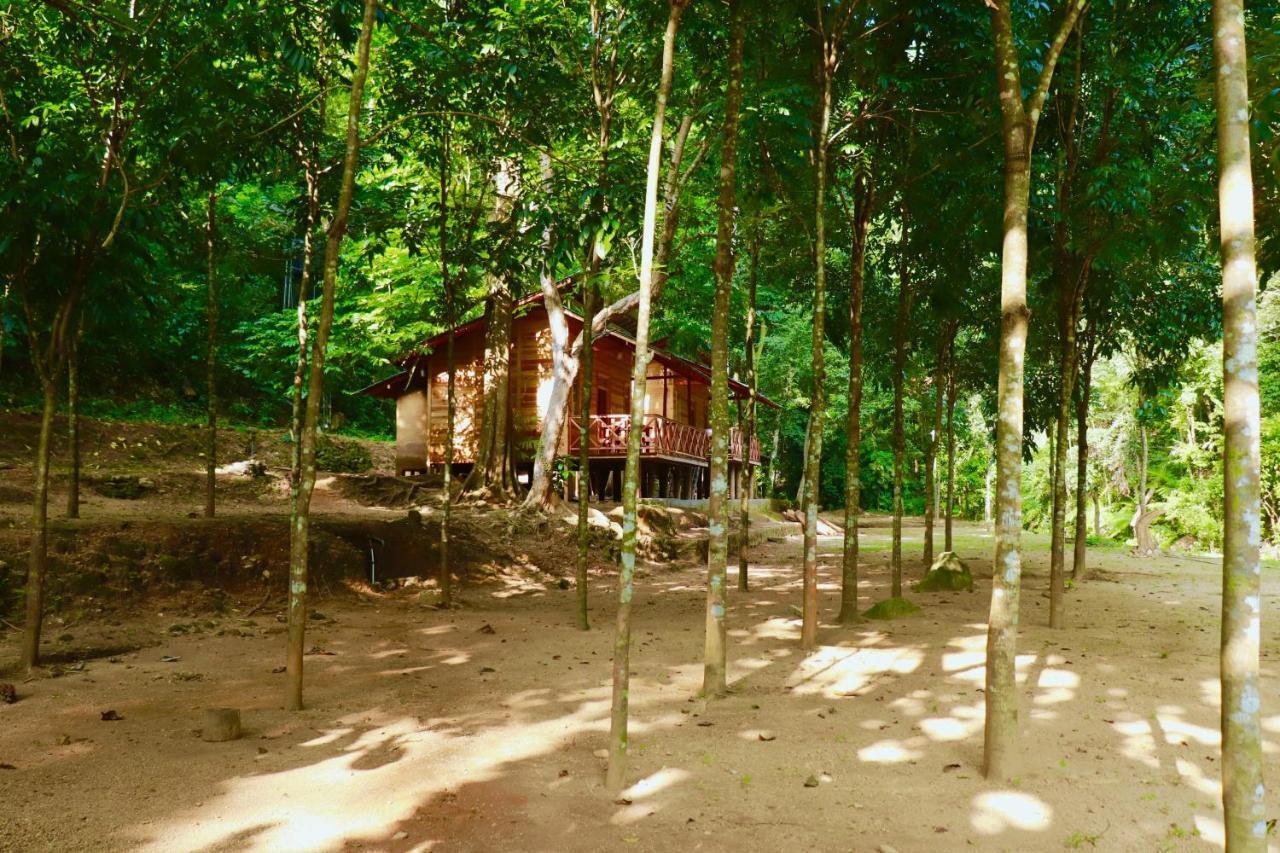 Paradise Eco Garden Kitulgala Εξωτερικό φωτογραφία