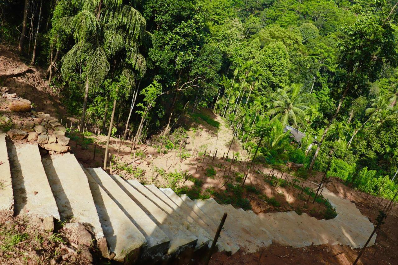 Paradise Eco Garden Kitulgala Εξωτερικό φωτογραφία