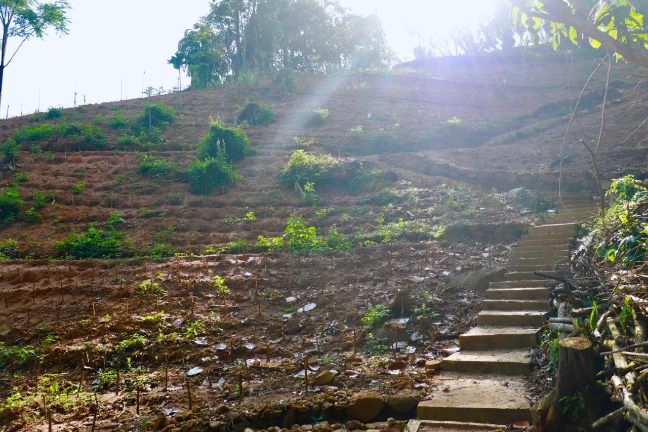 Paradise Eco Garden Kitulgala Εξωτερικό φωτογραφία